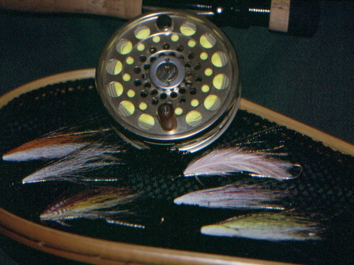 Landlocked Atlantic Salmon in the Adirondacks FishNY