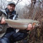 Angler holds large catch while steelhead fishing
