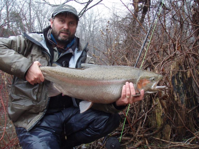 Angler holds large catch while steelhead fishing