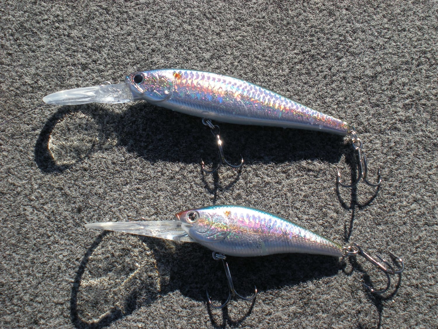 How to Succeed at Ice Out Bass Fishing FishNY