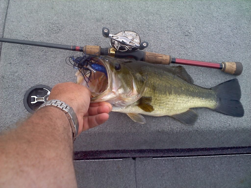 Largemouth and Smallmouth Bass Habitat Identification...