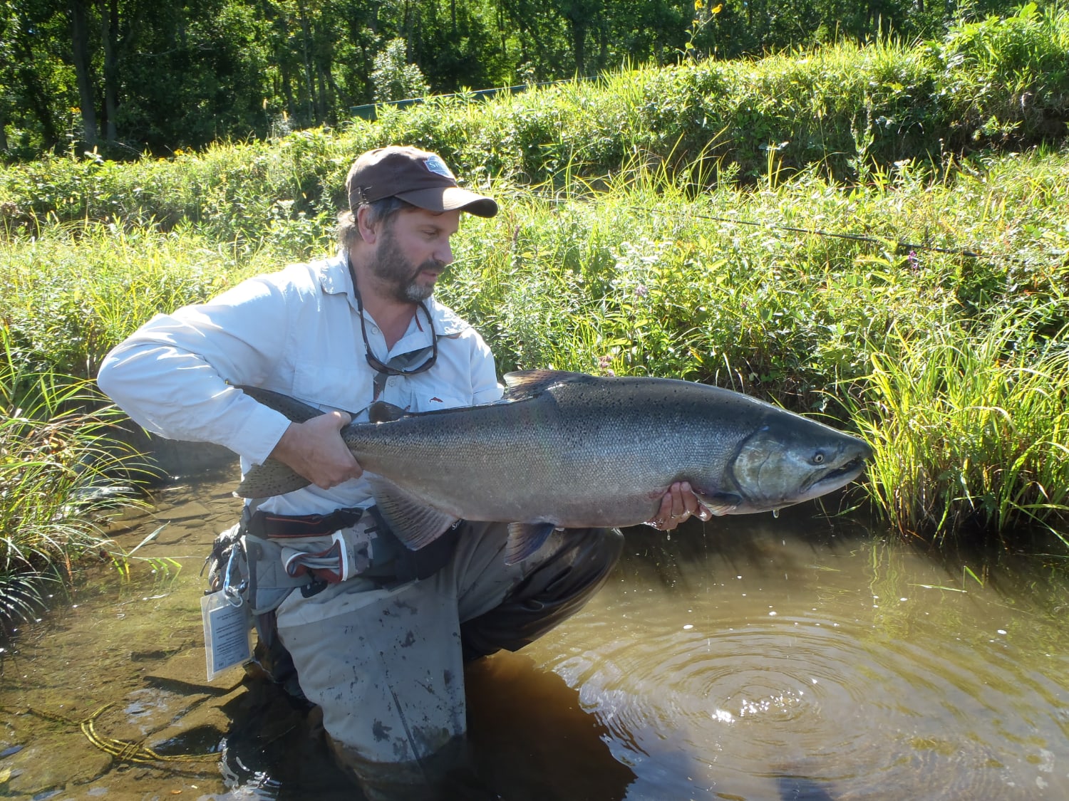 Fall Fishing Tips for Salmon, Steelhead and Browns FishNY