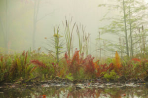 Seventh lake