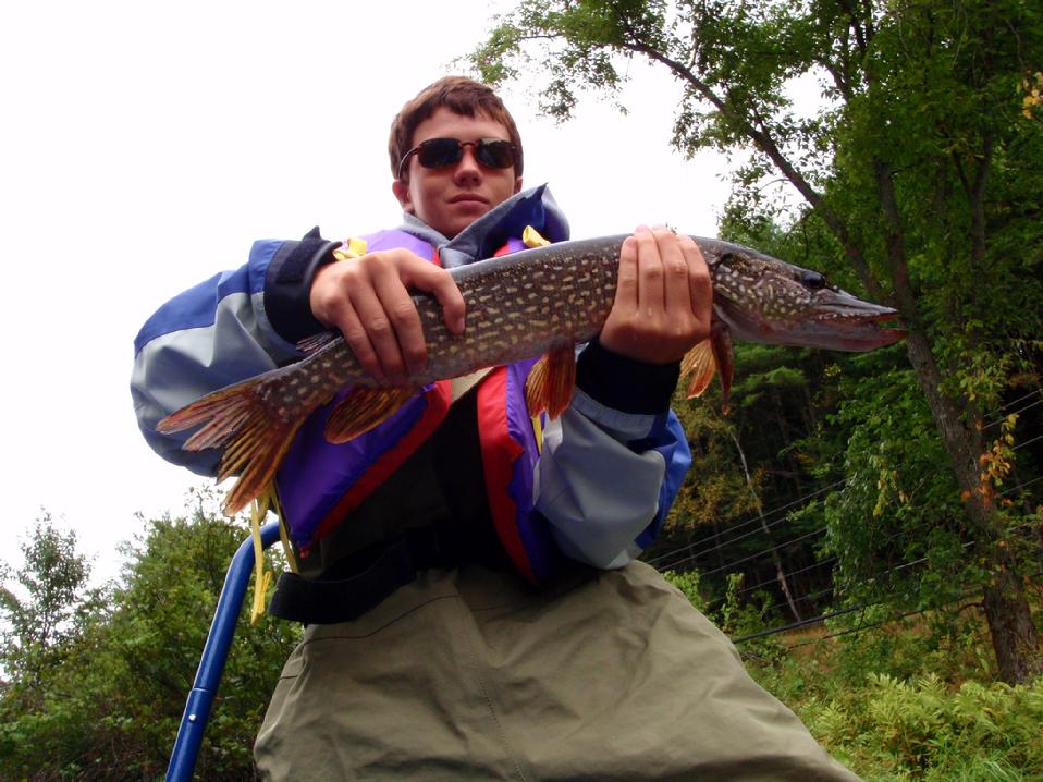 Young fisherman produly holds up a small northern pike. 