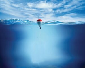 A graphic image of a bobber floating on top of the water's surface.