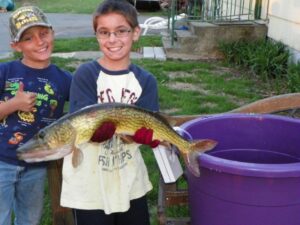 A small child showcases his large catch, a massive chain pickerel. 