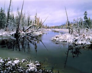 A snow-covered lake surrounded by woodlands.