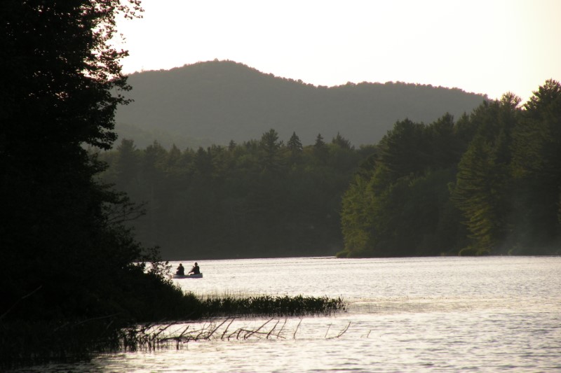 A large body of water surrounded by trees and two people paddling on a canoe.