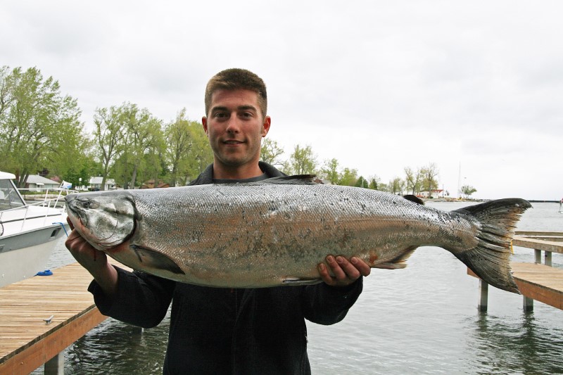 A young angler holds up a massive silver salmon.
