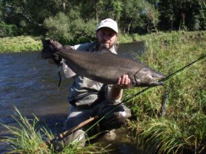 A large chinook caught and held out by a fisherman from the side of a river.