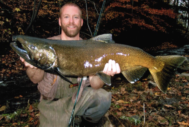 A massive browned up salmon being hed proudly by a fisherman.