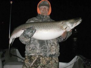 Double figure musky being held by angler while fishing on boat in New York State.
