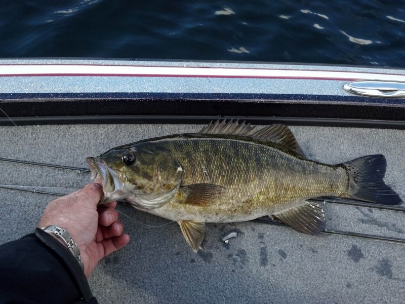 Kaska Fish Cassadaga Lakes Fishing Guide - Diverse Species & Techniques