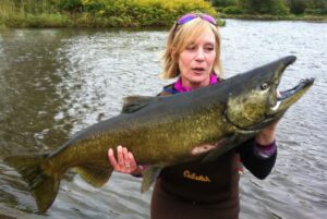A large chinook salmon is held up by an angler. 