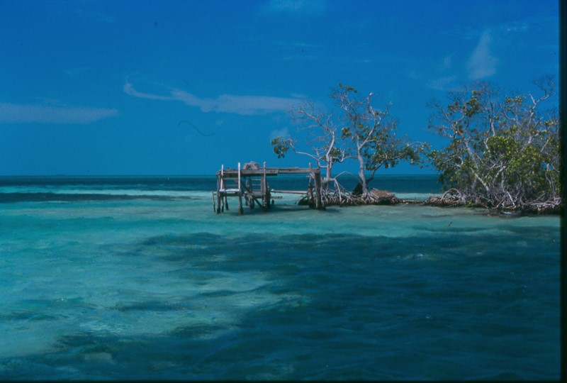 A photo of the mangrove flats, a common fly fishing spot.