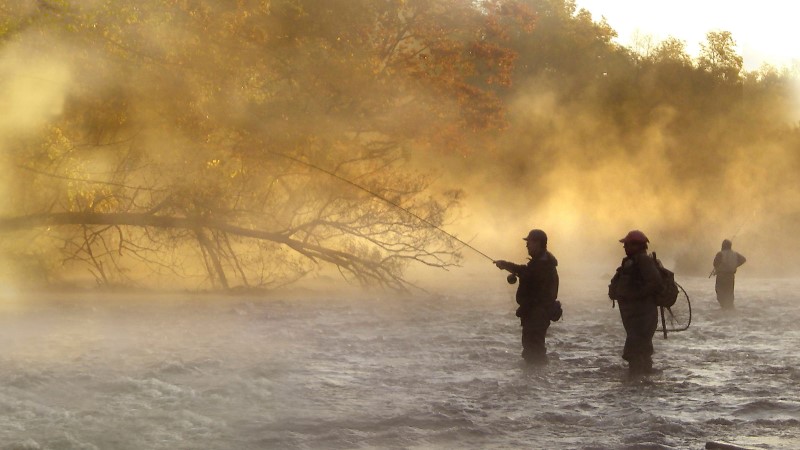 Multiple anglers stand on a misty river fishing for salmon. 