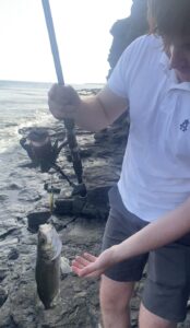 A fisherman goes to lift a stripped bass. 