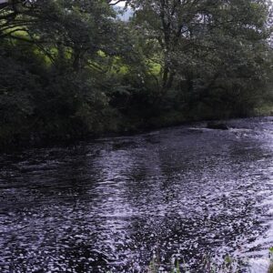A river that holds large pools that catfish are commonly found in. 