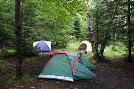 Three tents pitched surrounded by a thick forest. 