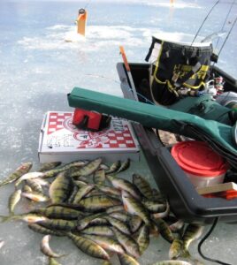 A sled stuffed with gear sits beside a large pile of yellow perch.