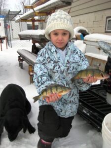 A young angler holds up two large yellow perch. 