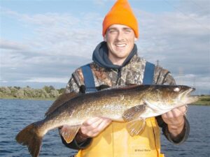 A large walleye caught on St Lawrence. 
