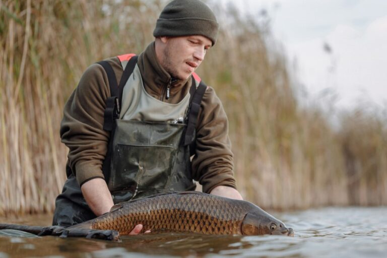 Top Fishing Attractors for Every Catch: Must-Have Tools