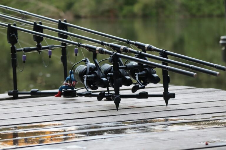 Best Fishing Electronic Bite Alarms