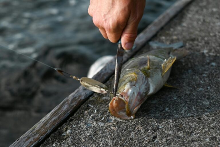 Best Fish Cleaning Mats for Easy Filleting & Prep