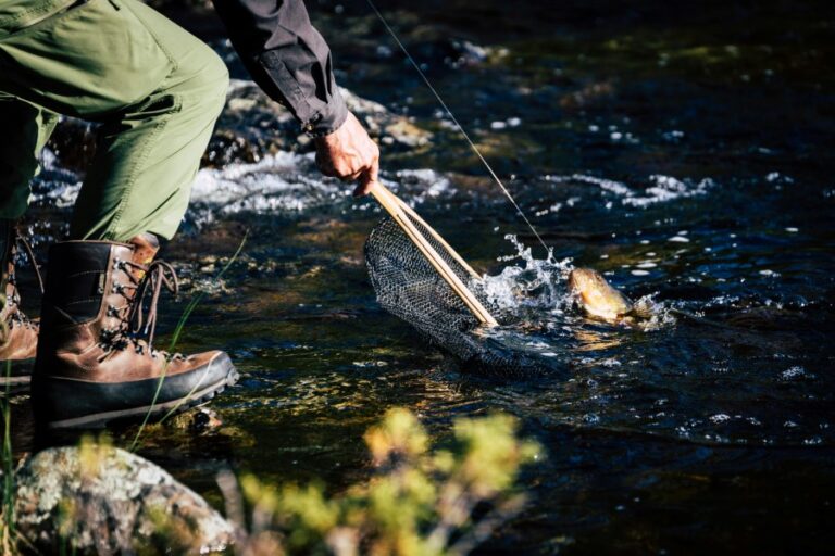 Top Fishing Nets for Safe & Efficient Fish Landing