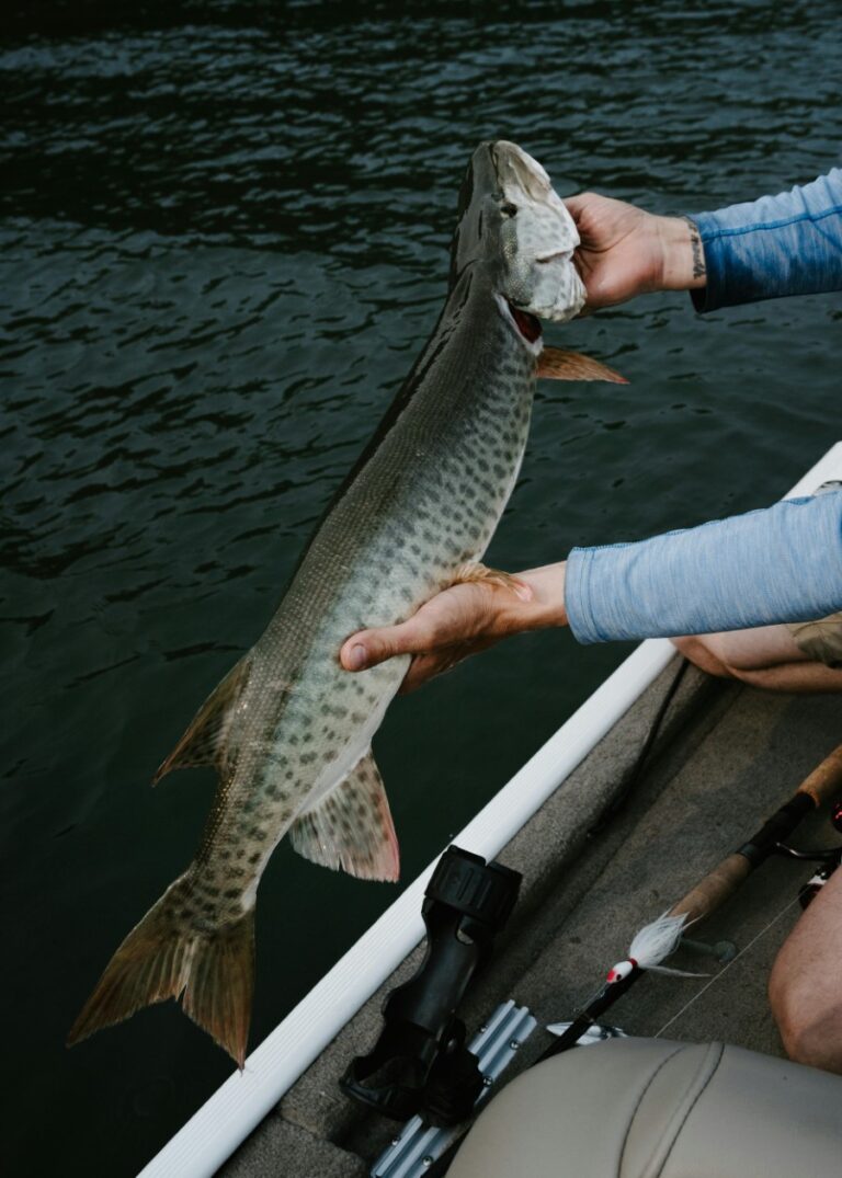 Best Fishing Sling Packs for Convenience & Organization