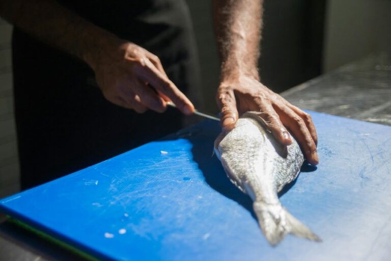 Best Fishing Knives for Anglers: Top Picks & Reviews