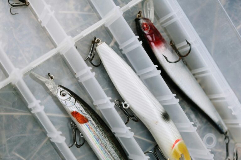 Top Fishing Lures for Every Angler’s Tackle Box