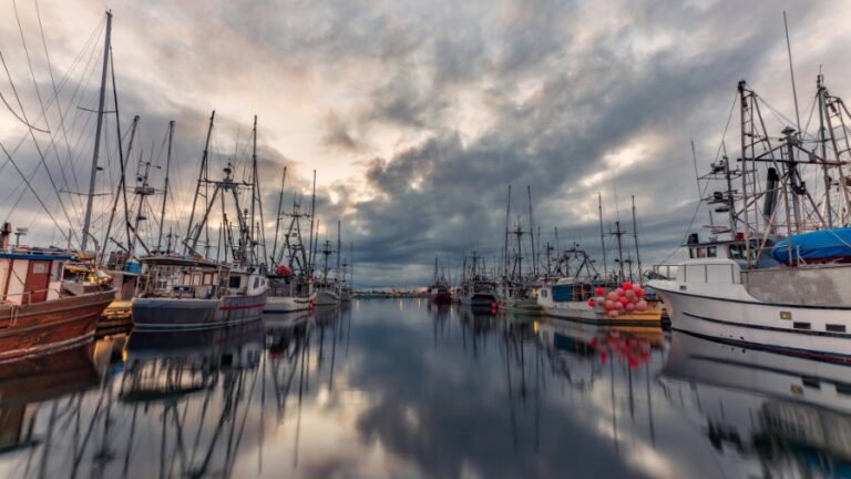 Best Marine Fuel Bladders for Boats