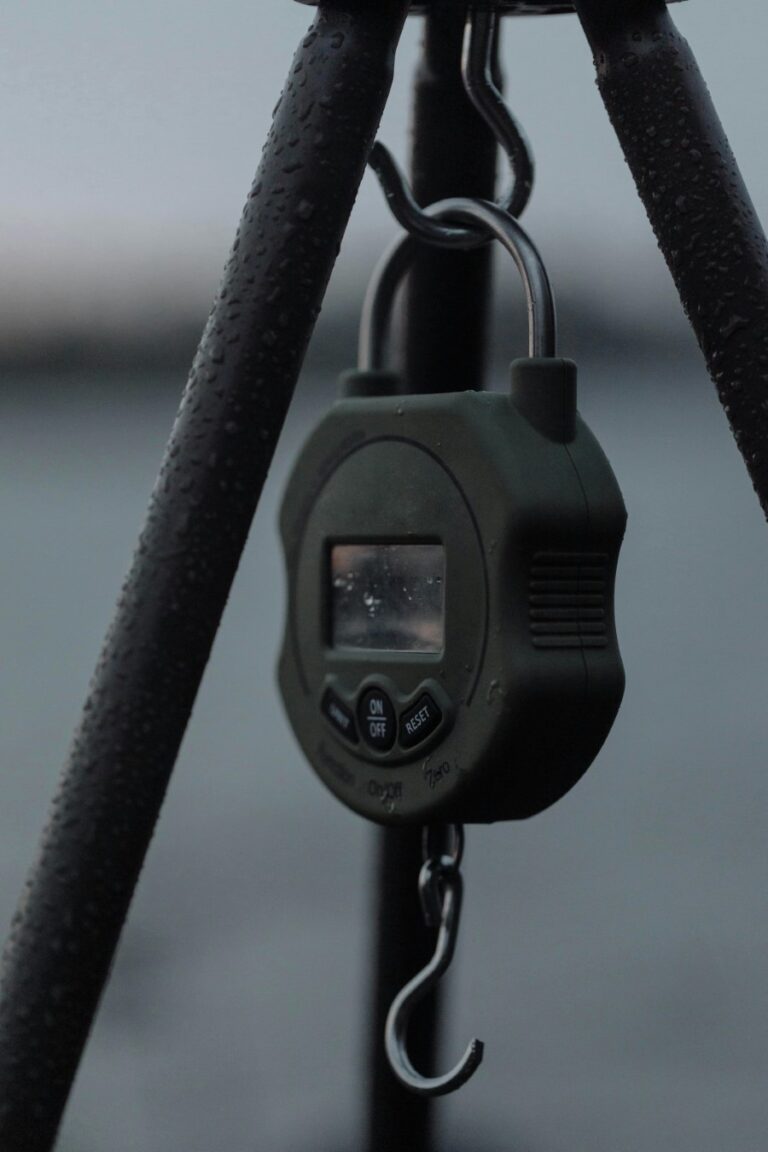 Top Fishing Scales for Accurate Catch Weighing