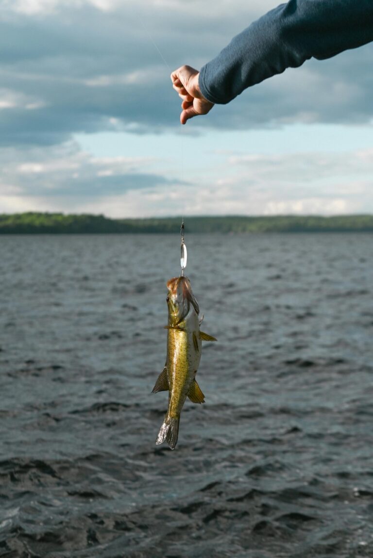Best Telescopic Fishing Rods for Easy Travel