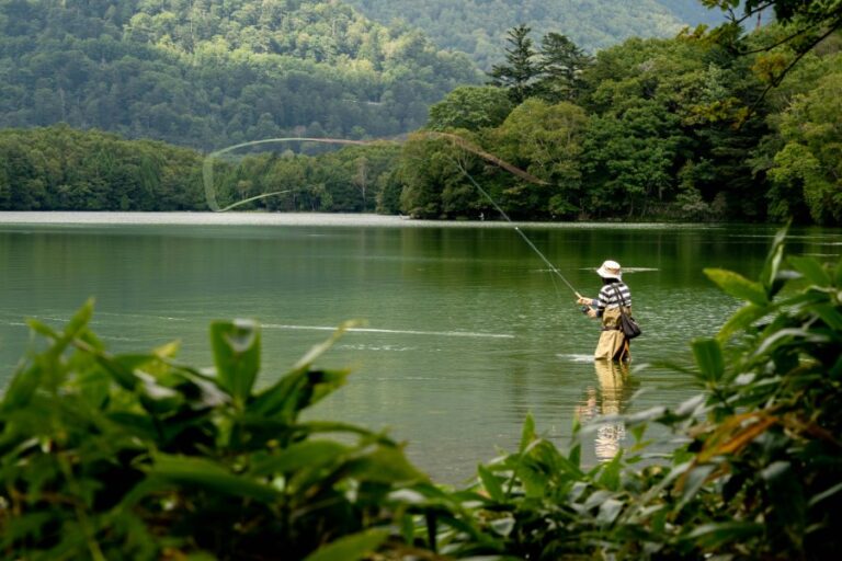 Best Wading Sticks for Stability & Safety
